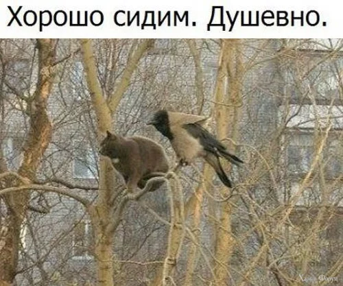 1731195310569.webp