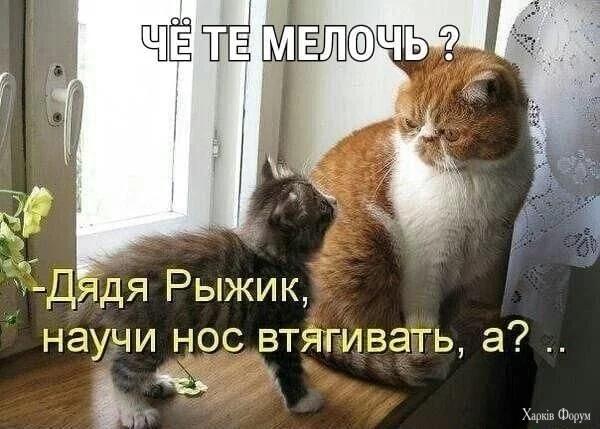 1731244419756.webp