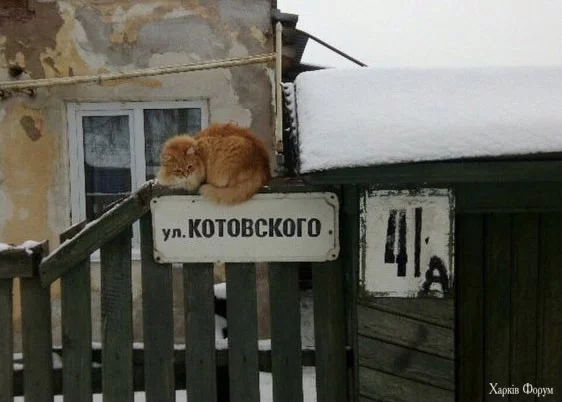 1731365376420.webp