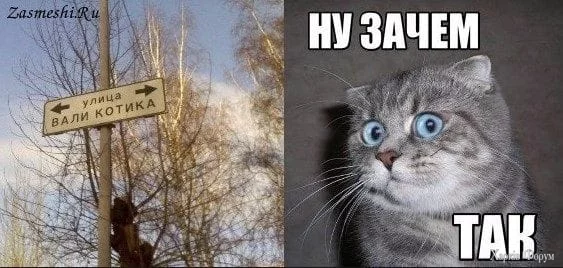 1731608341437.webp