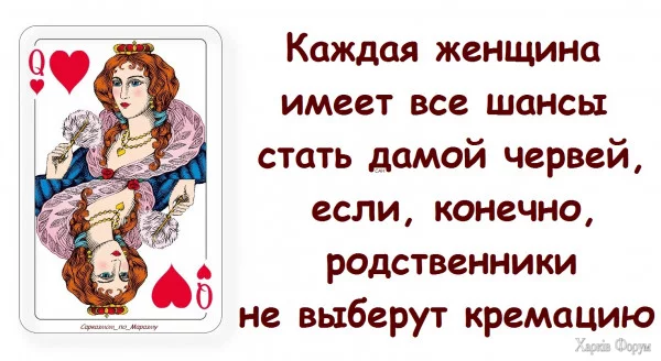 1731630202895.webp