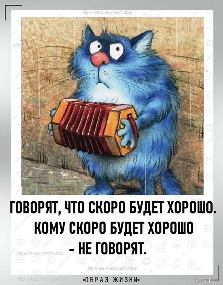 1731688465775.webp