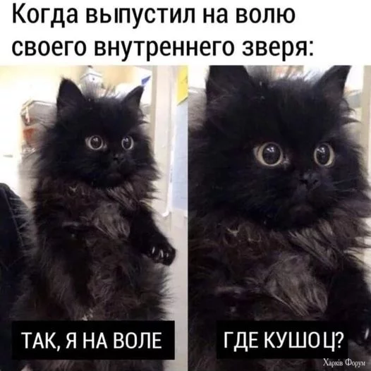 1731755737091.webp