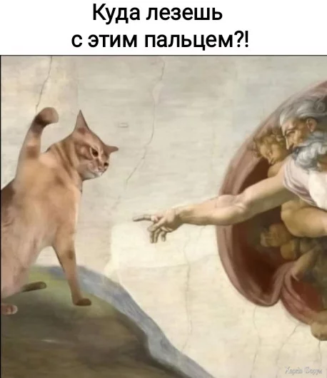 1731804774931.webp