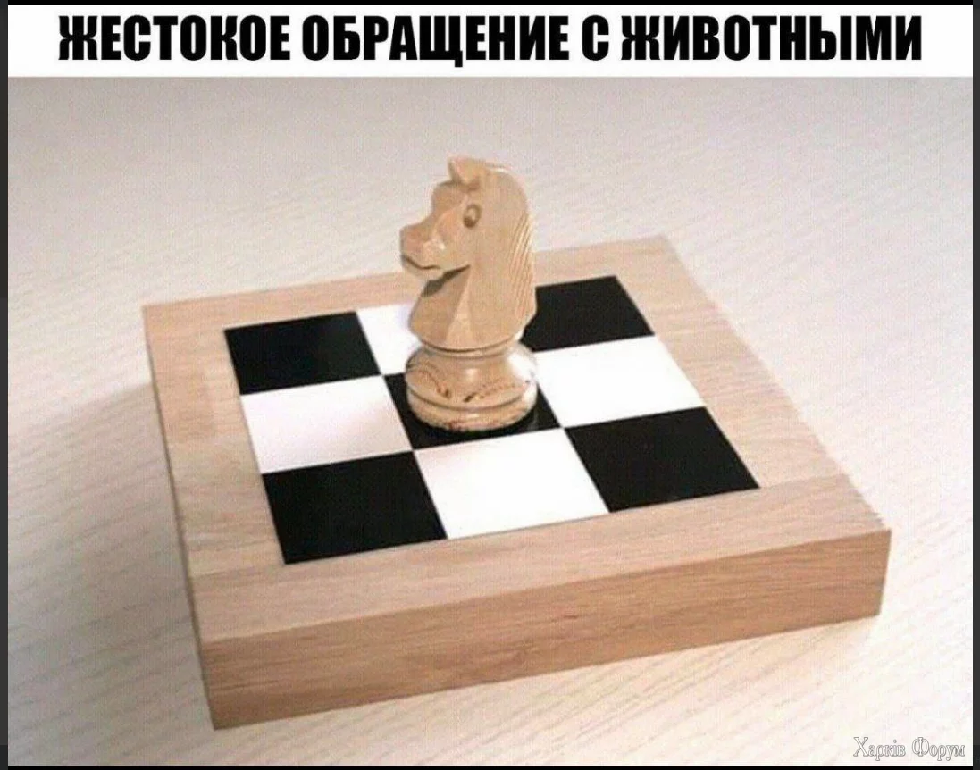 1731865896213.webp