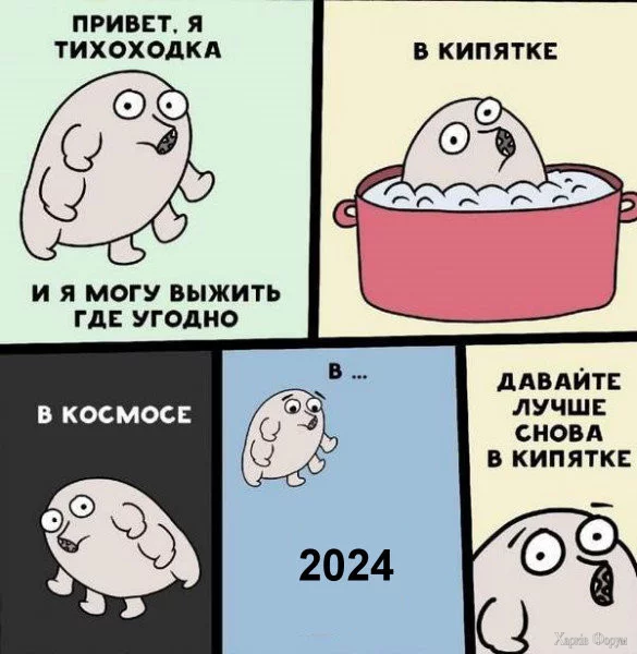 1731887213777.webp