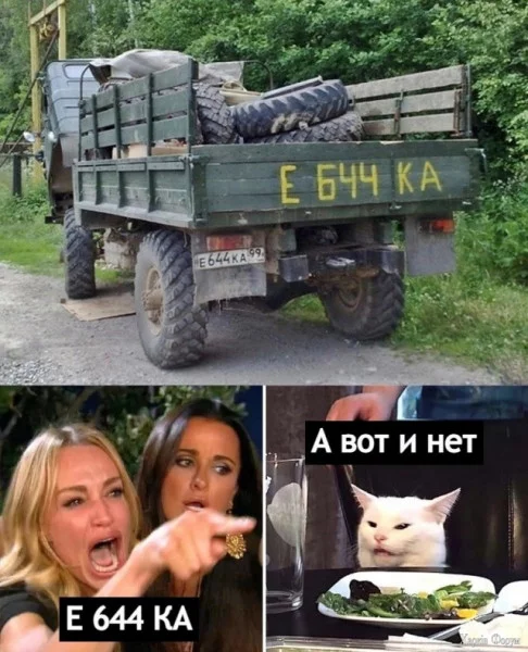 1731931387258.webp