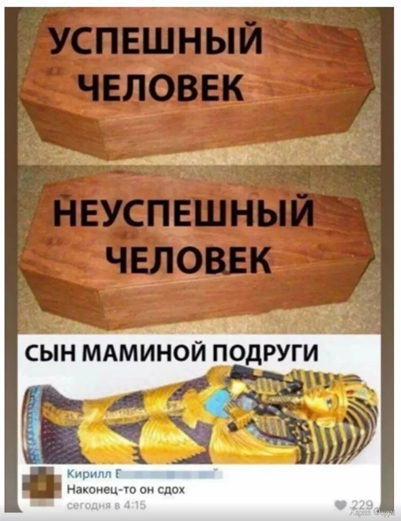 1731954663452.webp
