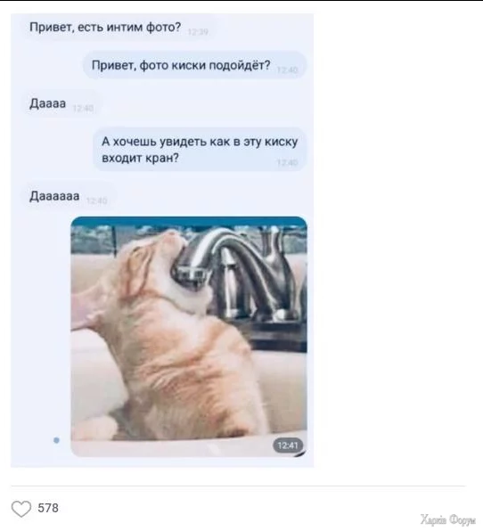 1731963824456.webp