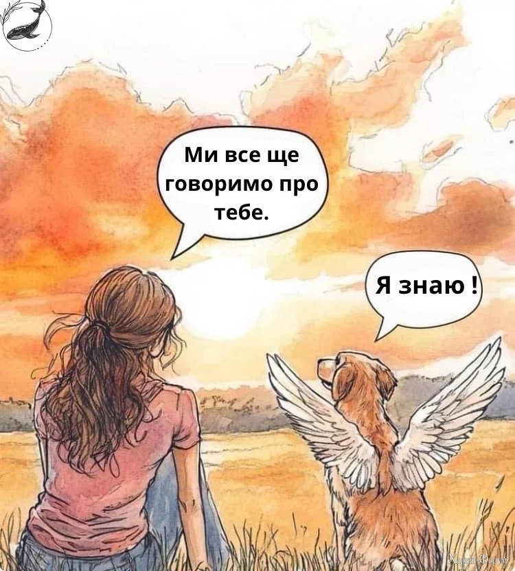 1732008760683.webp