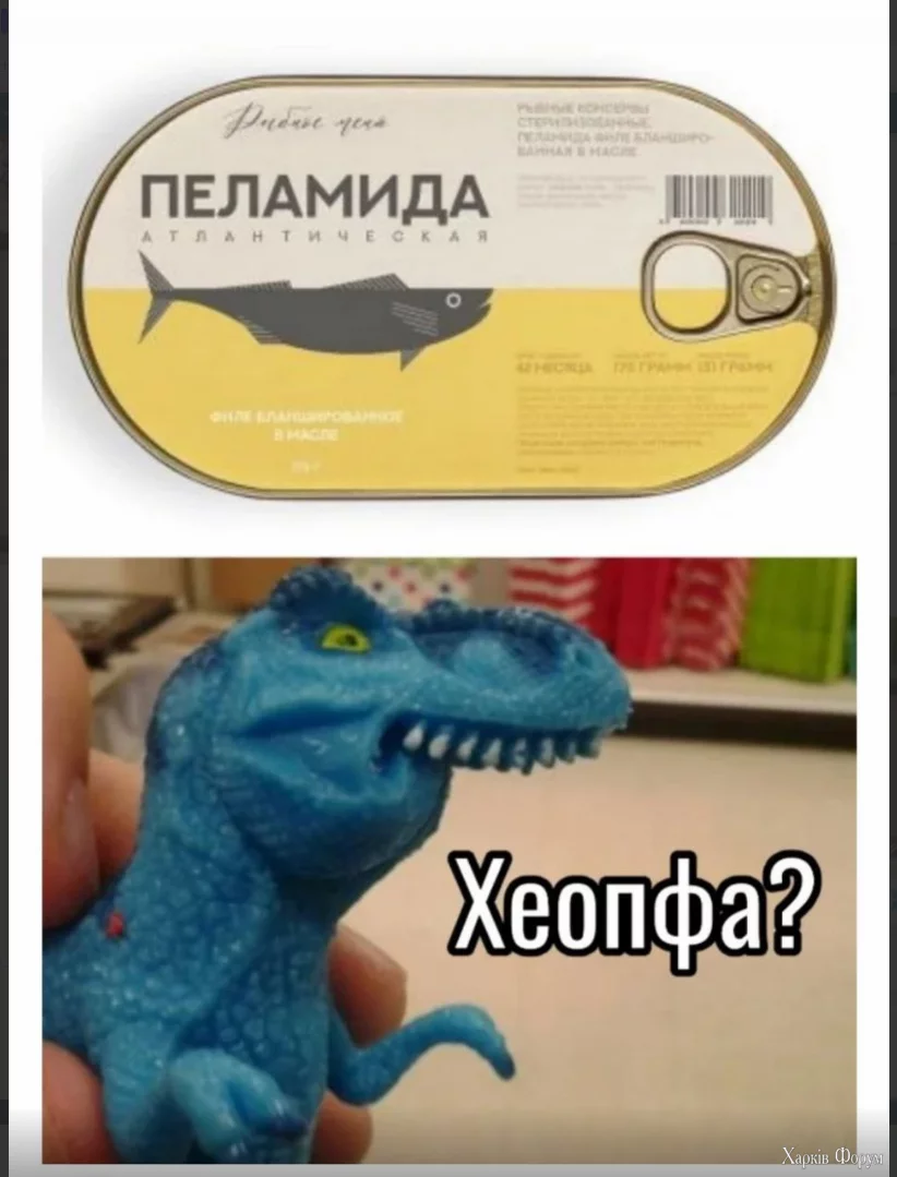 1732188123649.webp