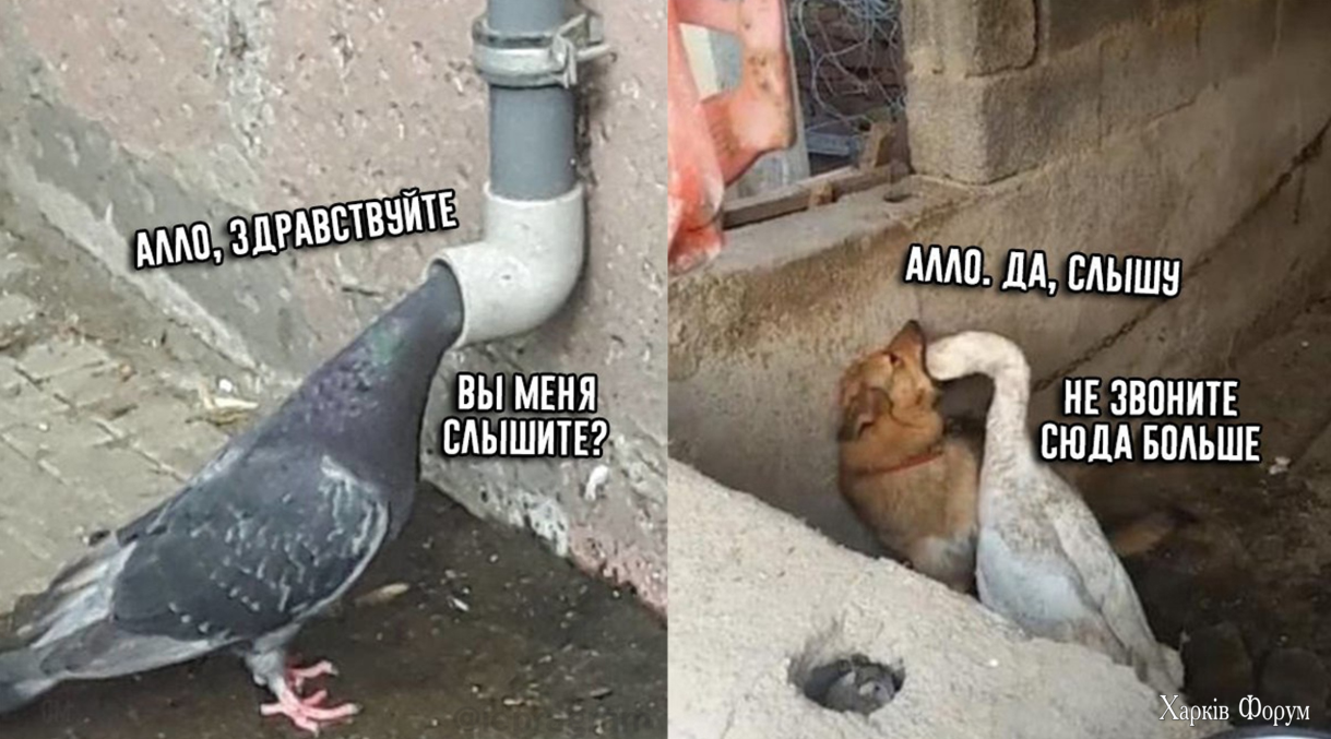 1732197446848.png