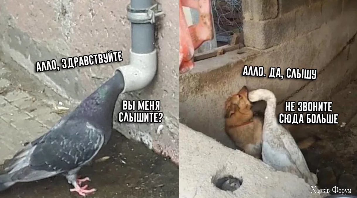 1732197446848.png