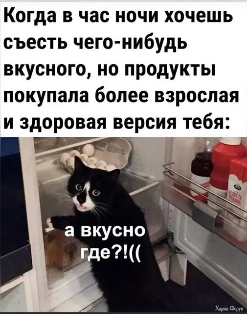 1732207517110.webp