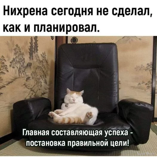 1732292820928.webp