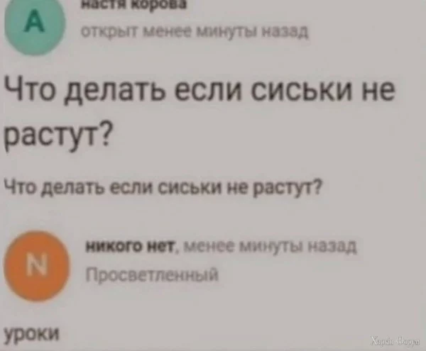 1732316423160.webp