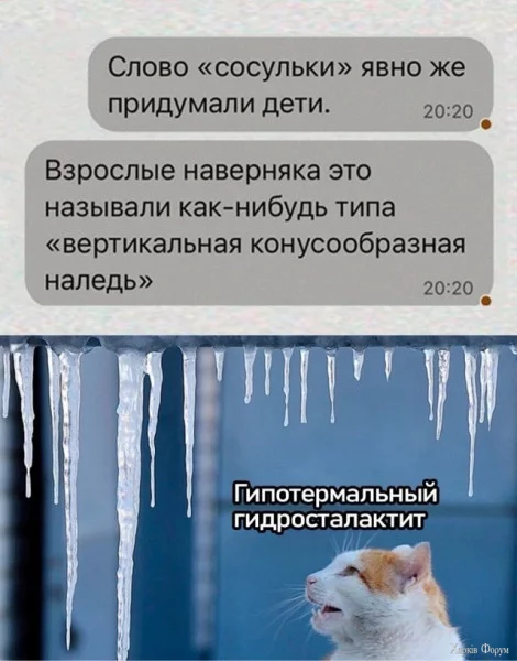 1732317246320.jpeg