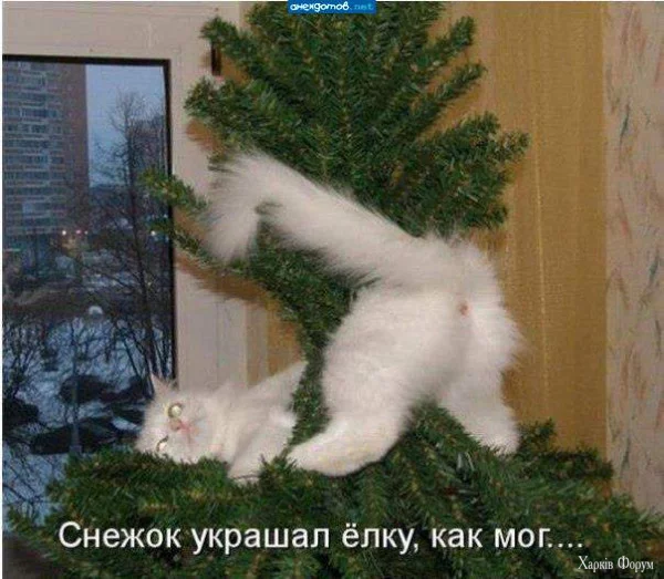 1732317303485.webp