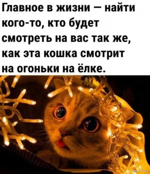 1732362063655.webp