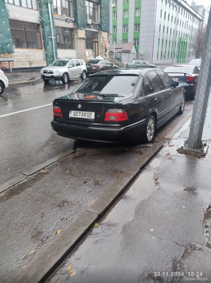 1732365709809.webp