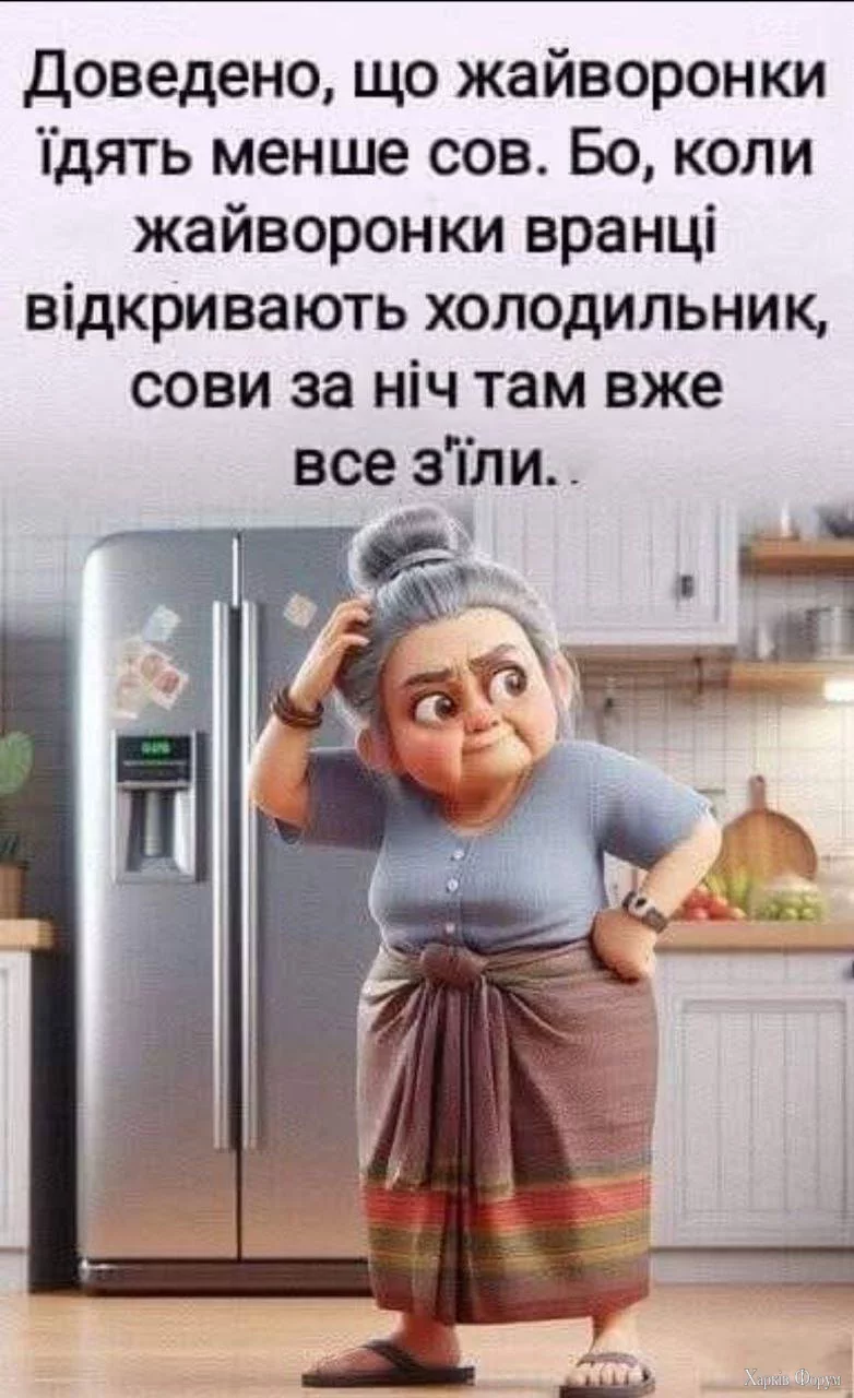 1732393377668.webp