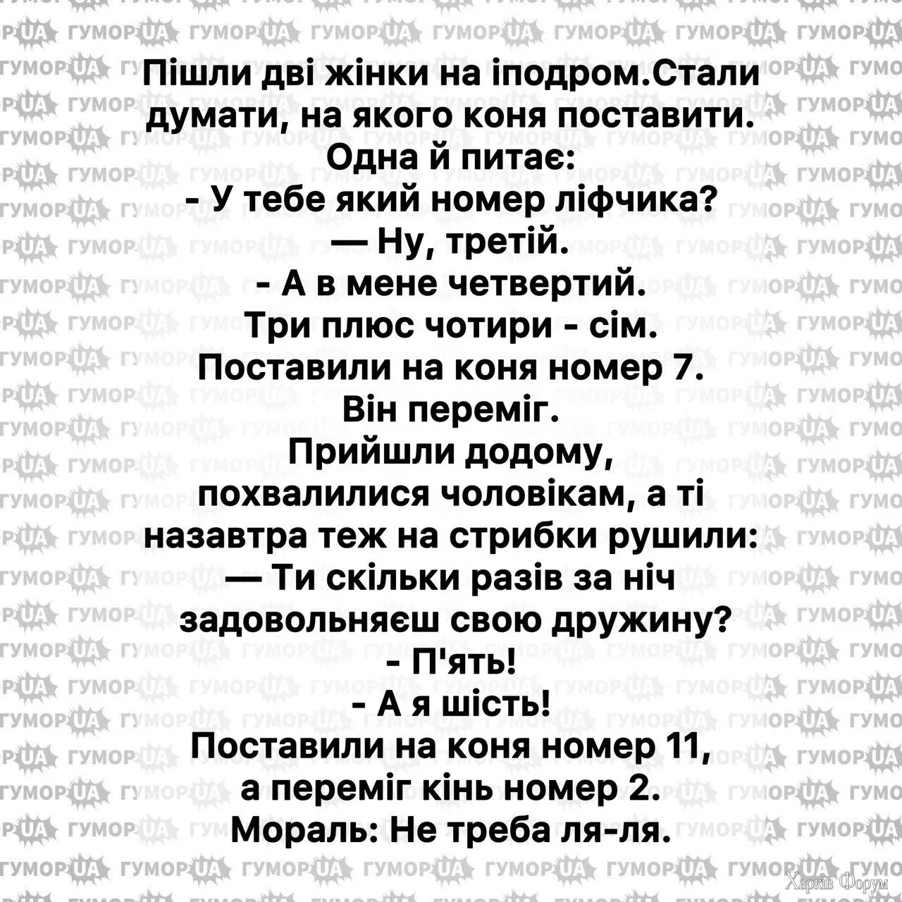 1732468535571.webp