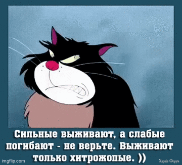 1732488292336.gif