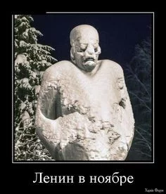 1732488771116.webp