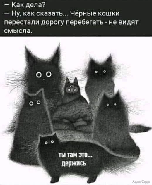 1732620223430.webp