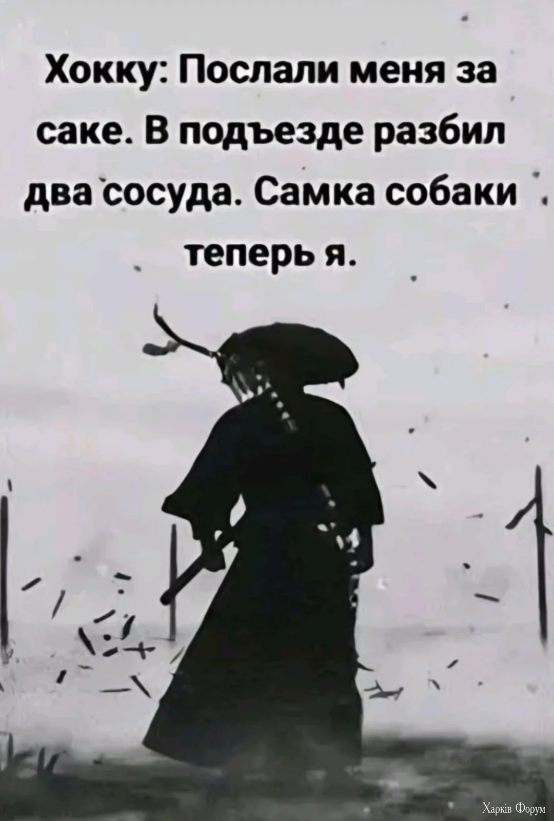 1732641094070.webp