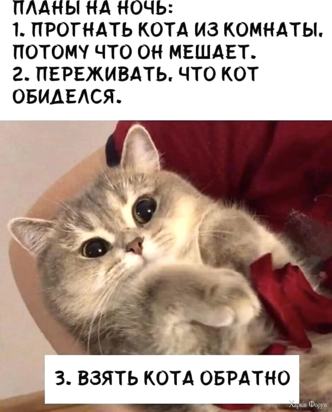 1732650446949.webp