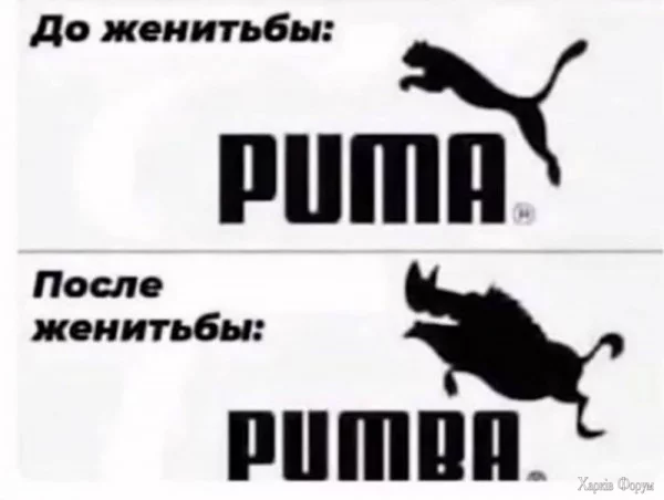 1732669050534.webp