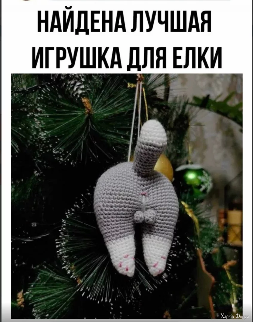 1732698105263.webp