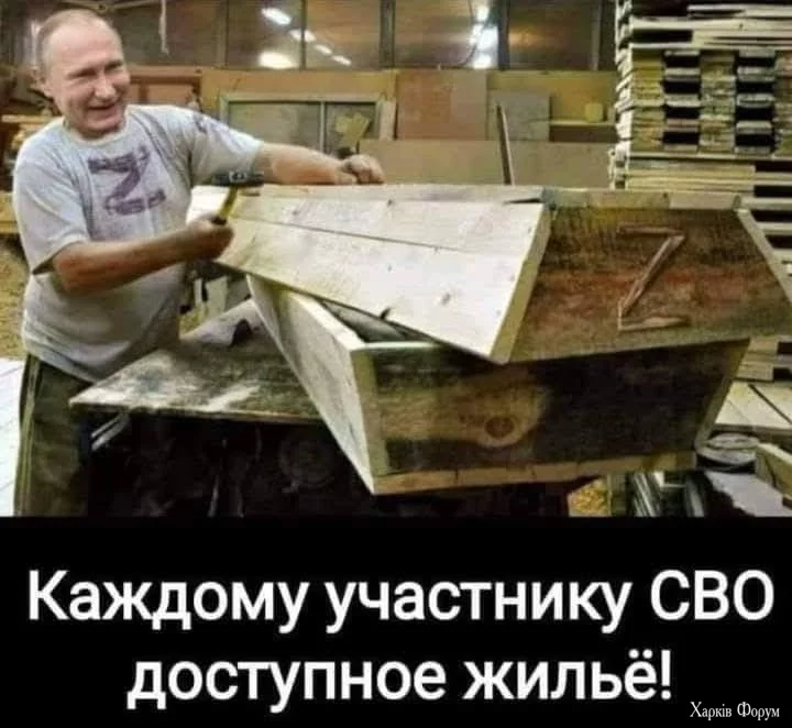 1732737172508.webp