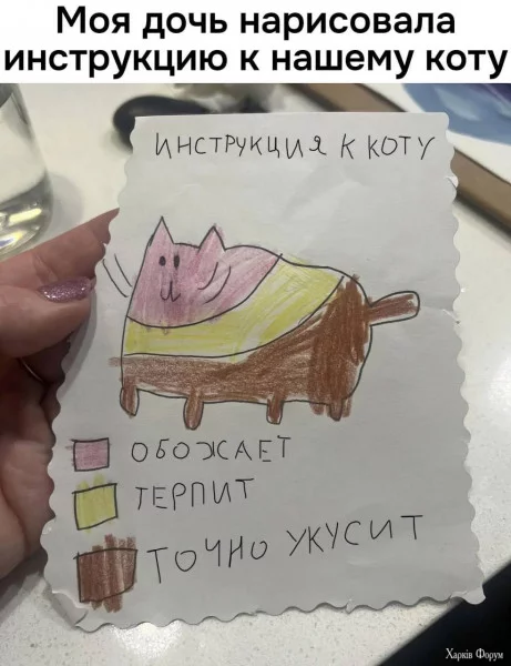1732756216422.webp