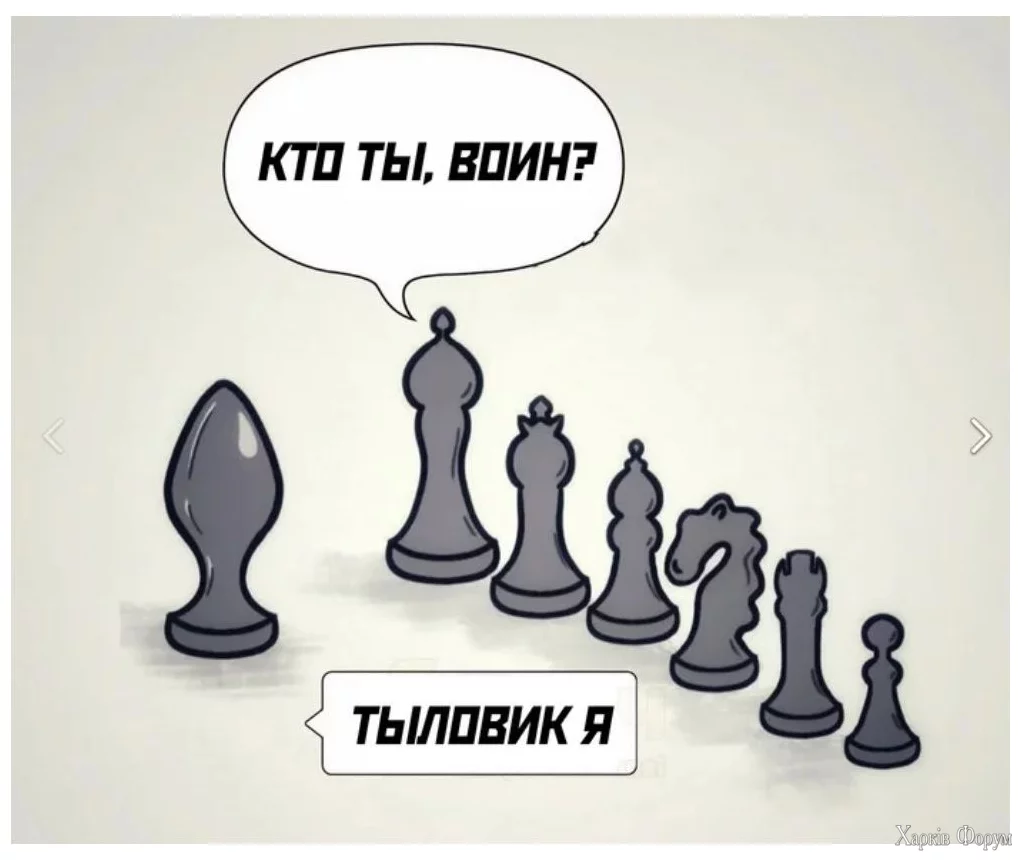 1732795013430.webp