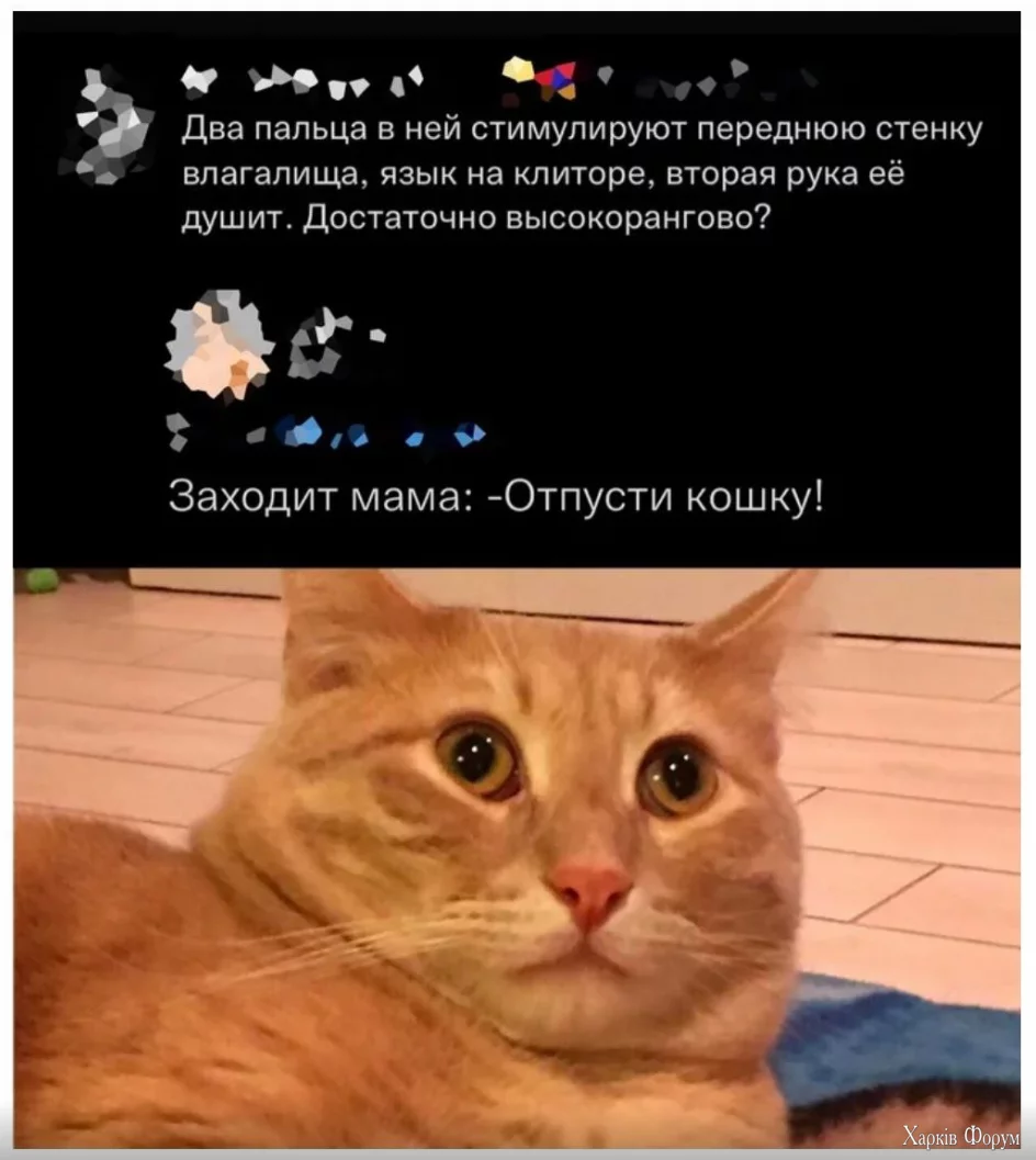 1732801861311.webp