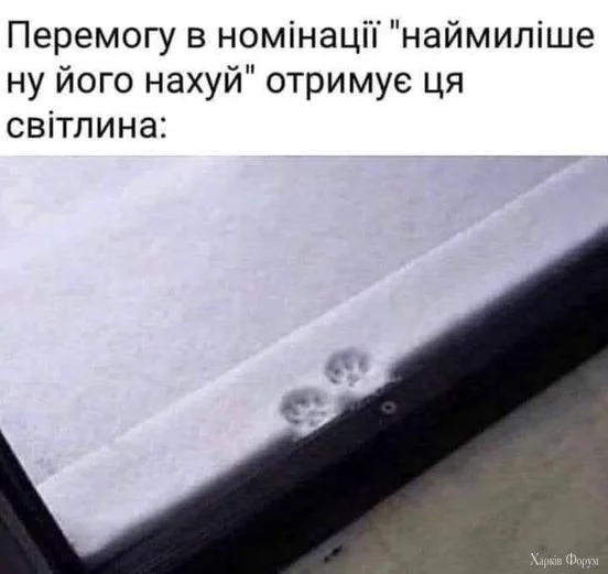 1732805889017.webp