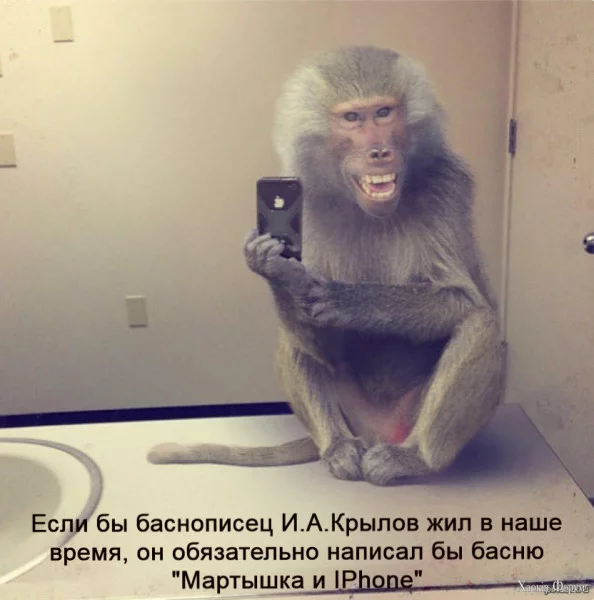 1732838304961.webp