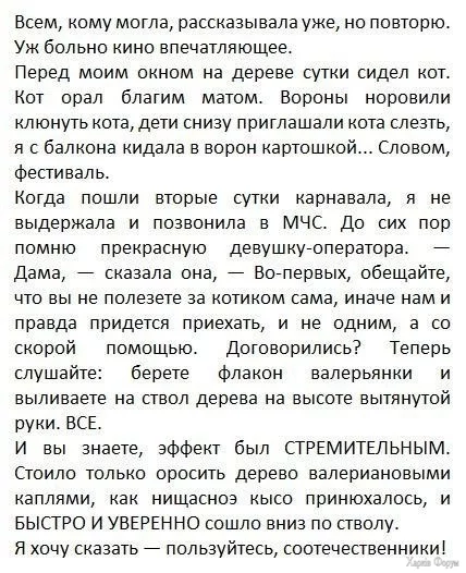 1732928961253.webp