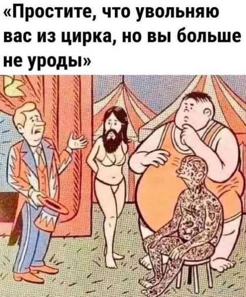 1733011515229.webp