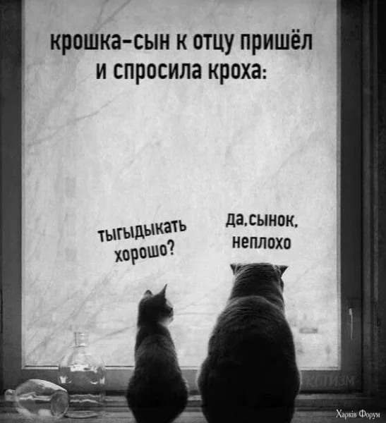 1733012165240.webp