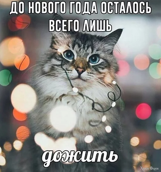 1733014244453.webp