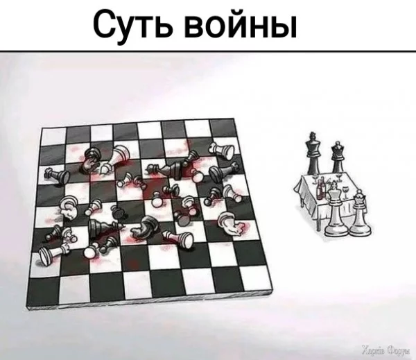 1733091952711.webp