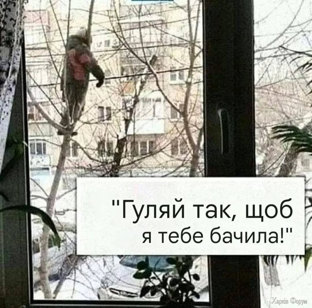 1733158280220.webp