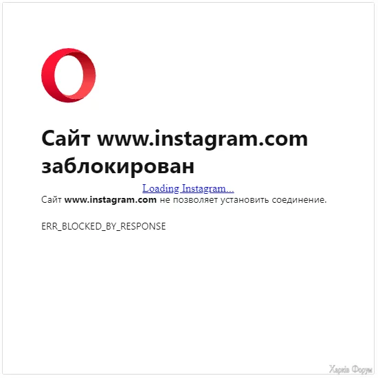 1733162195358.webp