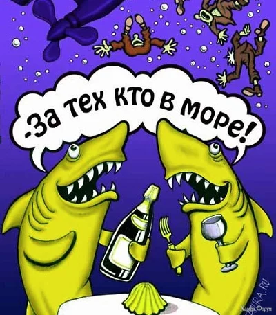 1733168246184.webp