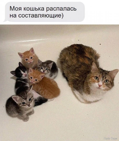 1733192031811.png