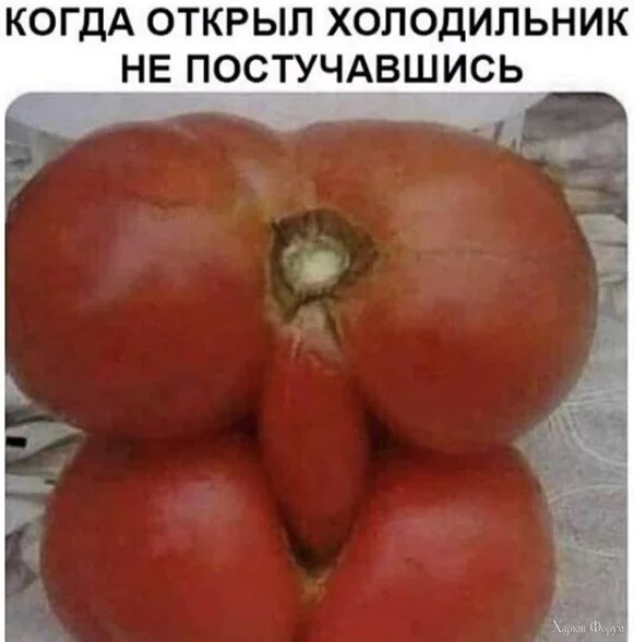 1733243269787.webp