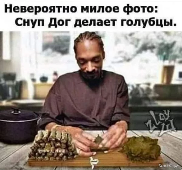 1733243357945.webp